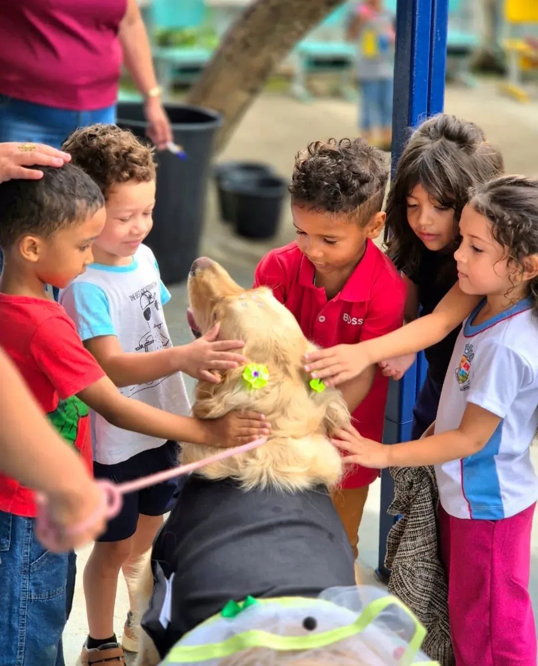 Cães na sala de aula? Unidog chega à Escola Feliciana Ivo, em Caldas Novas, e estimula inclusão de alunos com TEA